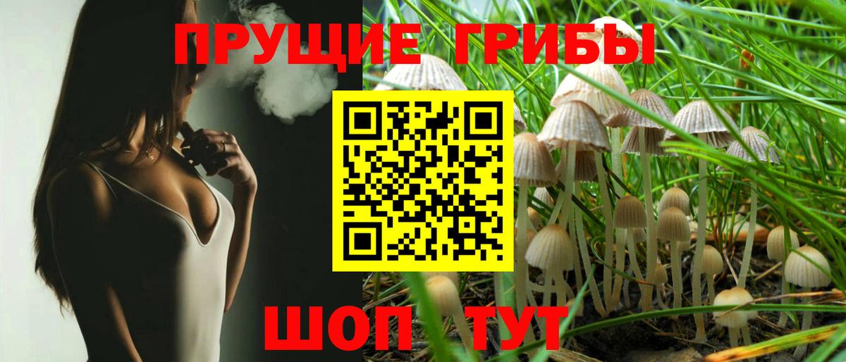 Галлюциногенные грибы Psilocybine cubensis Родники